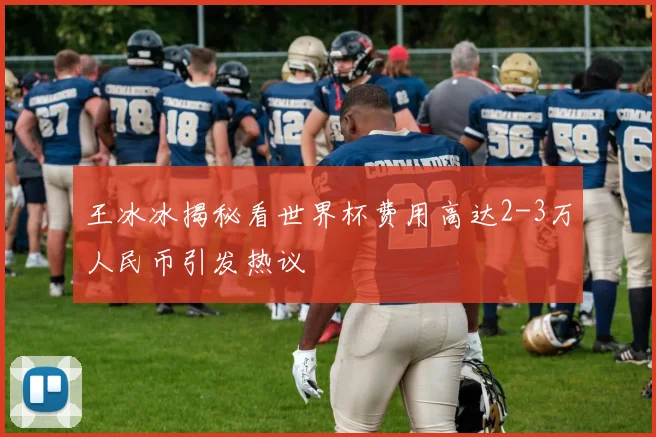 王冰冰揭秘看世界杯费用高达2-3万人民币引发热议